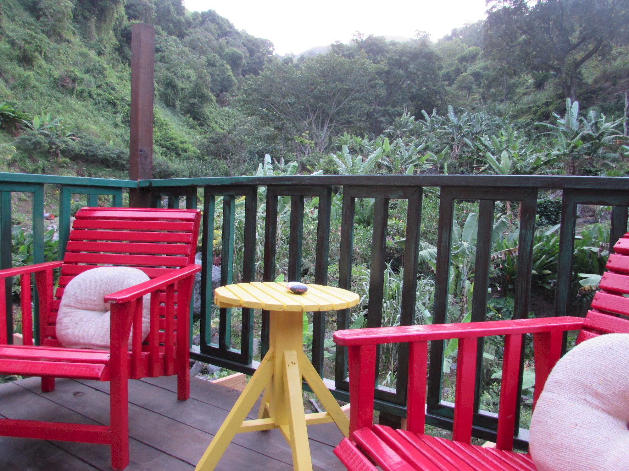 Rafjam Bed & Breakfast คิงส์ตัน ภายนอก รูปภาพ